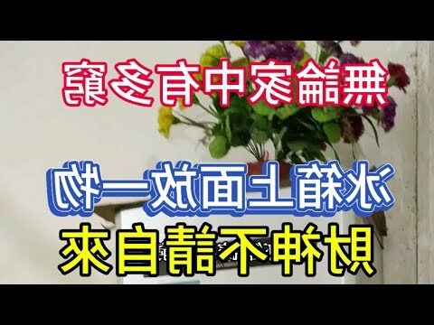 冰箱上面可以放什麼吉祥物