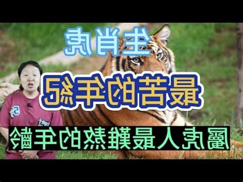 屬虎年份
