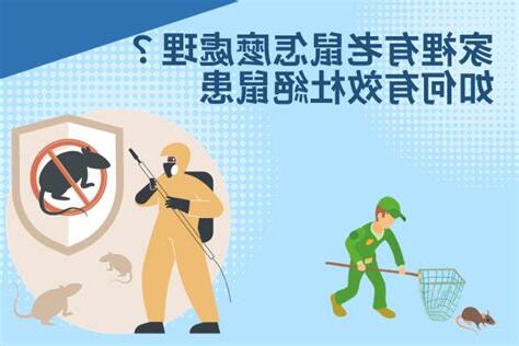 如何知道家裡有沒有老鼠