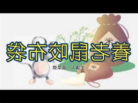 養老鼠咬布袋同義