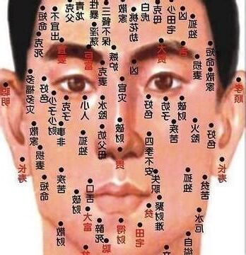 男人面相面相分析