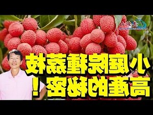 庭院樹種