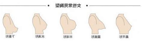 女生乳頭大小