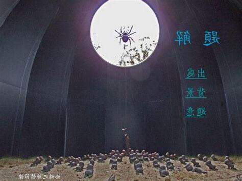 蜘蛛之絲寓意