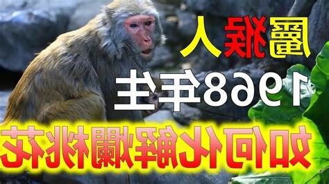 1968年屬猴