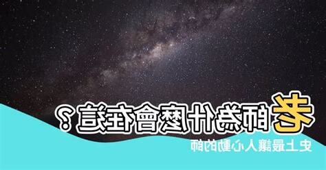 老師為什麼會在這