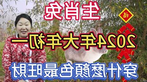 屬兔人2024年運勢