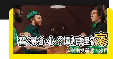 家裡有蟬