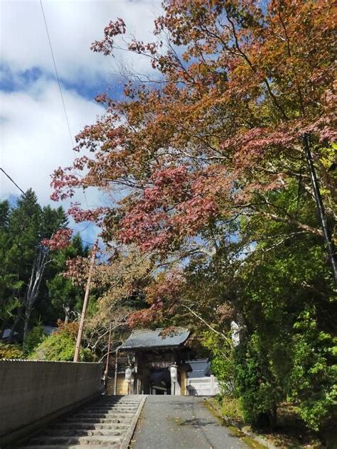 赤本山