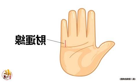 小指下方直紋