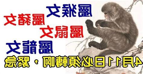 屬猴女姓名