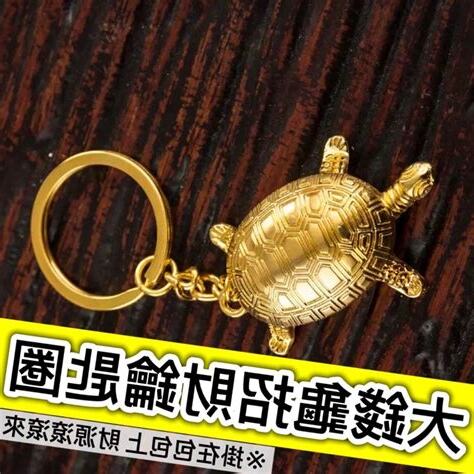 發財龜飼養