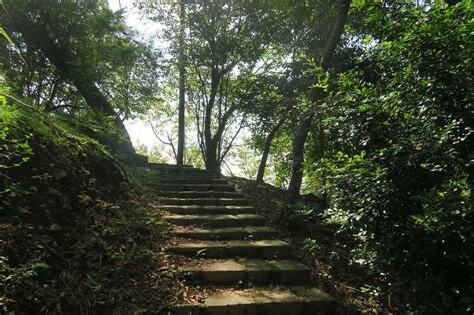 大山背鬧鬼