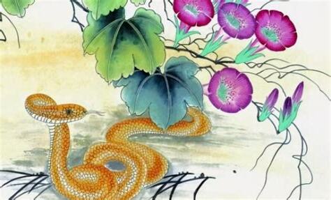 丁巳年生肖