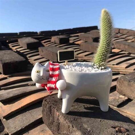 猴尾柱風水