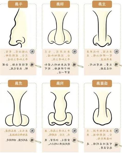 鼻大面相男