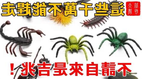 家裡突然很多蜘蛛