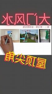 阳台风水植物