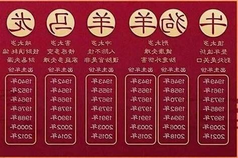 1965年属什么