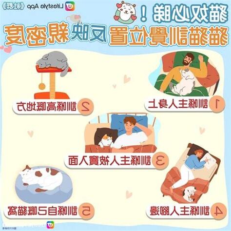 貓訓覺位置