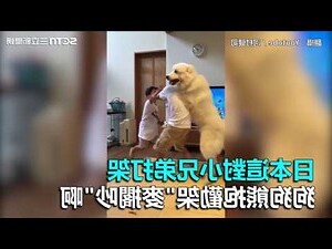 兄弟吵架