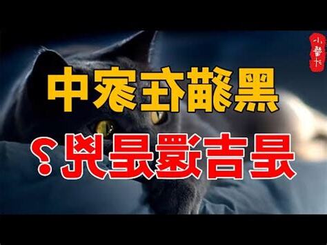 黑貓來家裡代表什麼