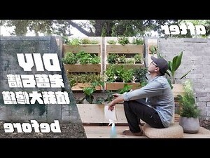 後院佈置