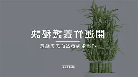 開運竹葉子修剪