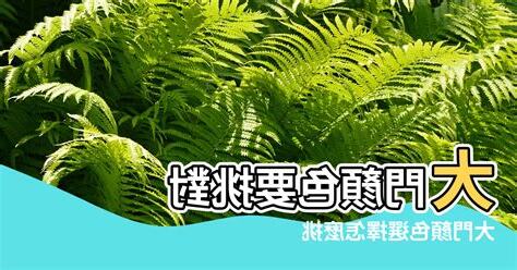 大門適合什麼顏色