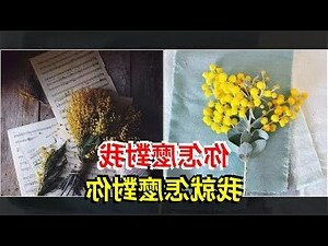 你怎麼對我我就怎麼對你諺語