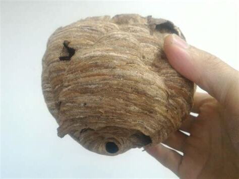 拆除蜂窩
