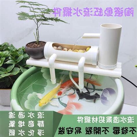 魚缸發黴怎麼辦