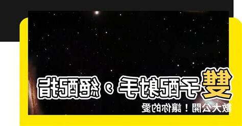 雙子男射手女配對指數