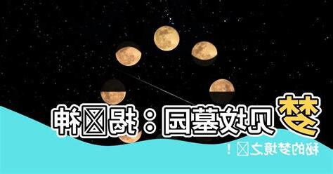 夢見墳墓區