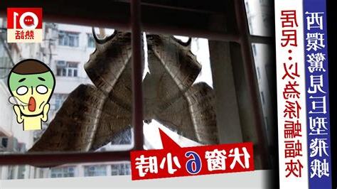 飛蛾入屋親人