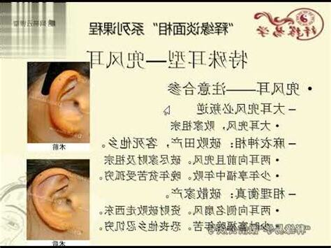 兜風耳性格