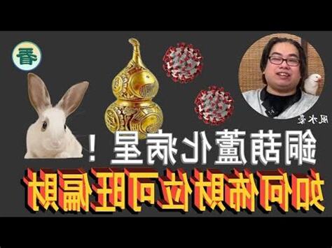 化病葫蘆2023
