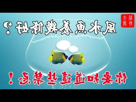 魚養三隻