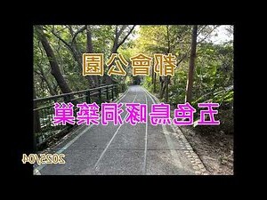 鳥啄窗户