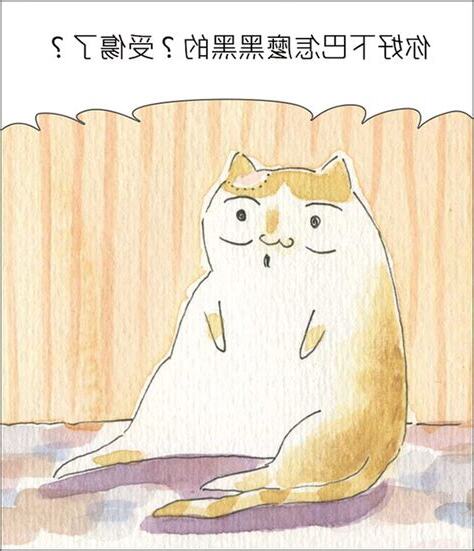 家裡有貓來