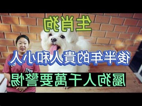2023屬狗貴人