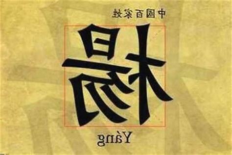 姓楊