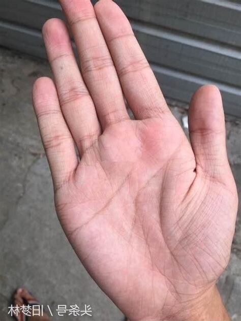 手相雜亂