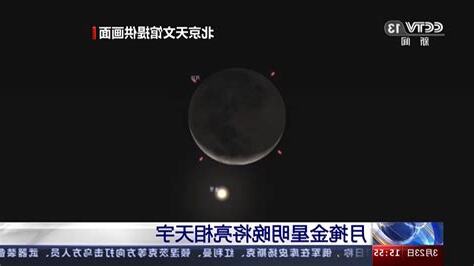 月亮金星同星座