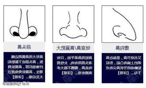 平鼻面相