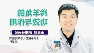 羚羊西角功效