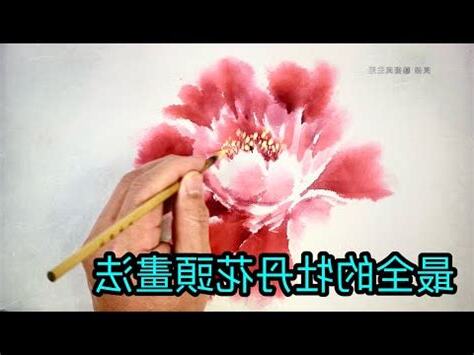 最全的牡丹花頭畫法