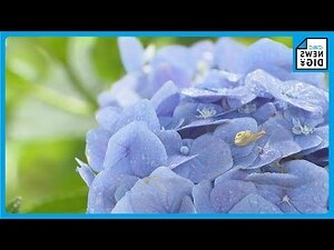 中間色有哪些