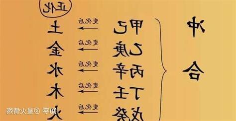 甲己化土格