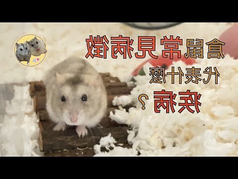 屁股有斑